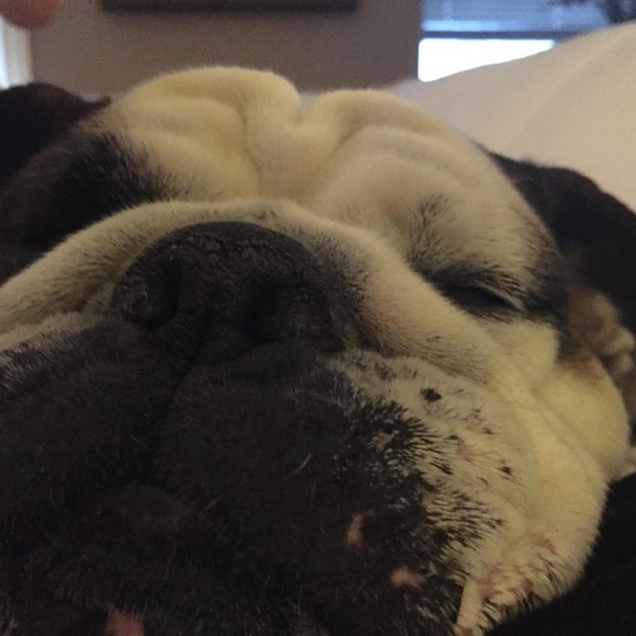 Meet your Posher, Kelli - Picture 1 of 1